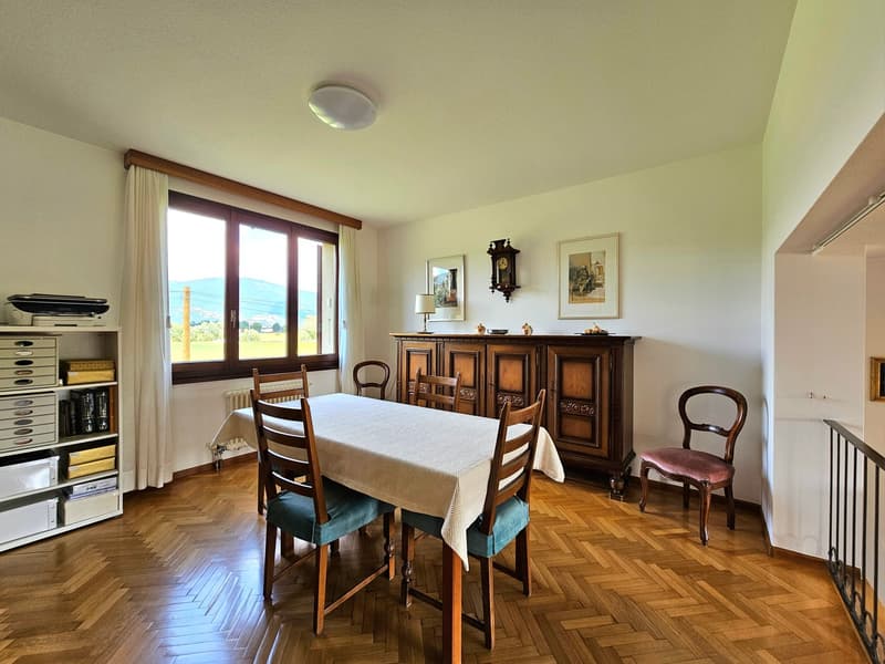 Stabio : Villa unifamiliale confortable avec grand jardin et importants indices de construction (11)