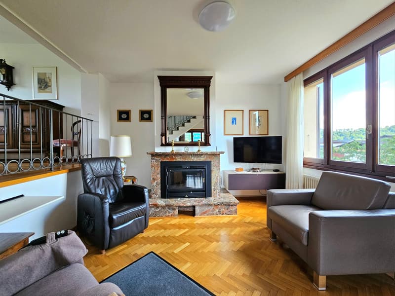 Stabio : Villa unifamiliale confortable avec grand jardin et importants indices de construction (8)