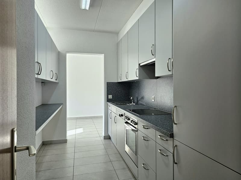 modern kitchen, granite countertop, stainless steel appliances, built-in cabinets, modern fittings