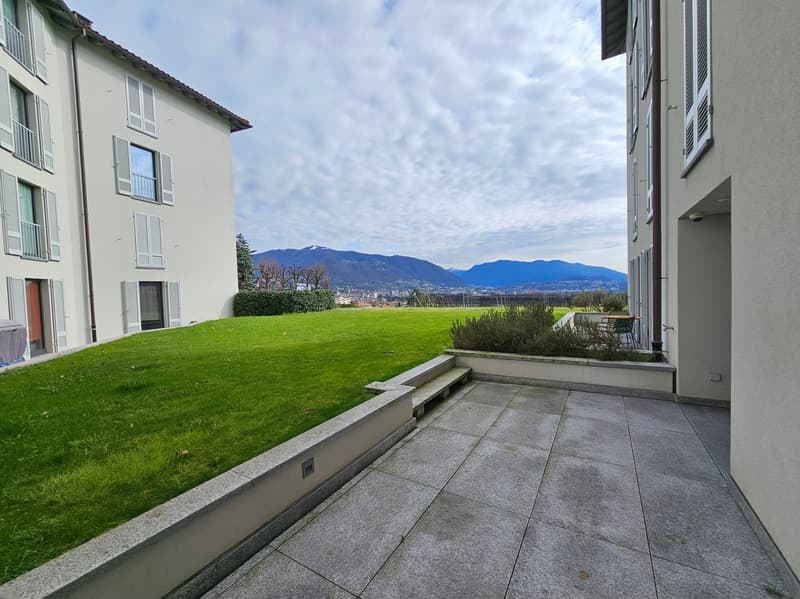 Green lawn, concrete paved area, plants, distant mountains, and a road
