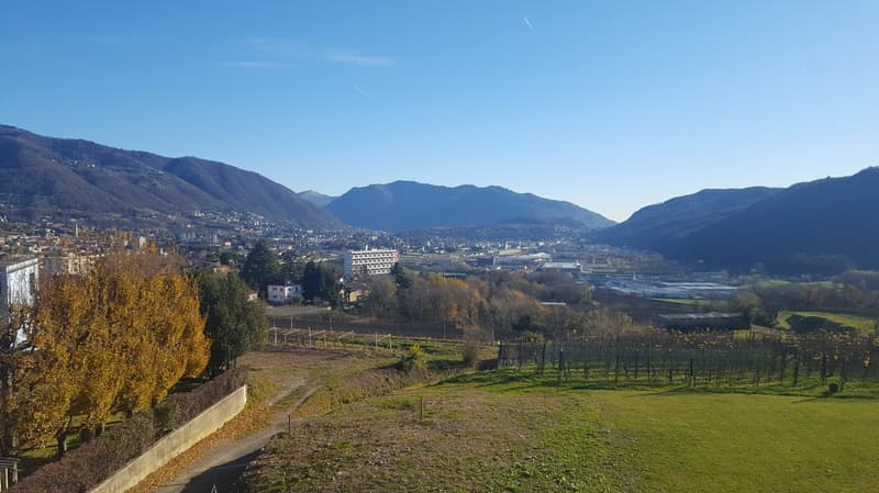 View of the surrounding area, mountains, vineyards, town, clear sky, buildings in the distance
