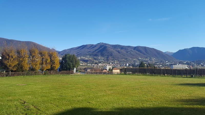 Green grass field, trees in background, mountains in the distance, buildings in the distance.