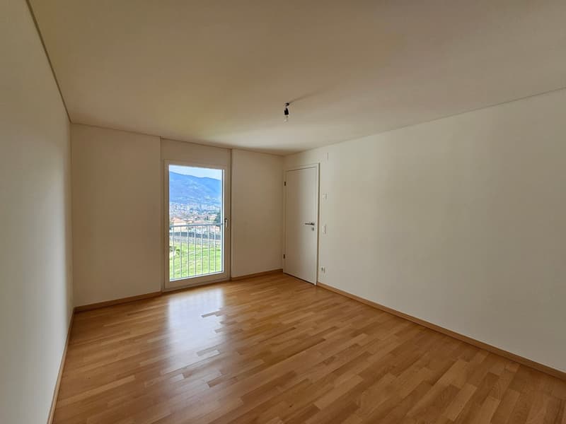 large glass door, balcony with railing, glass walls, wooden floor, white walls, power outlets