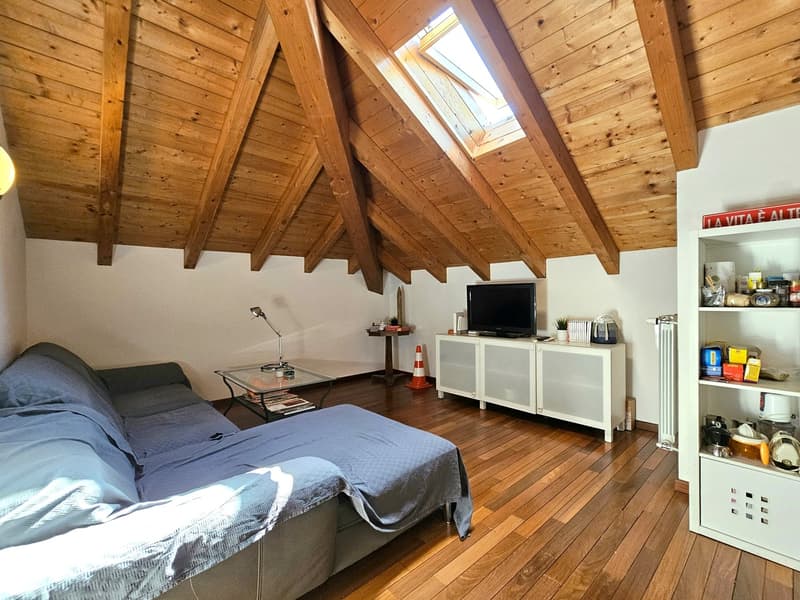 wooden floor, skylight, sofa, side table, TV, coffee table, shelves