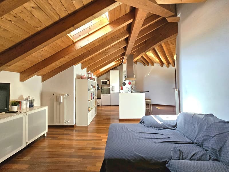 Wooden ceiling, wooden floor, open living and kitchen area, window, bed