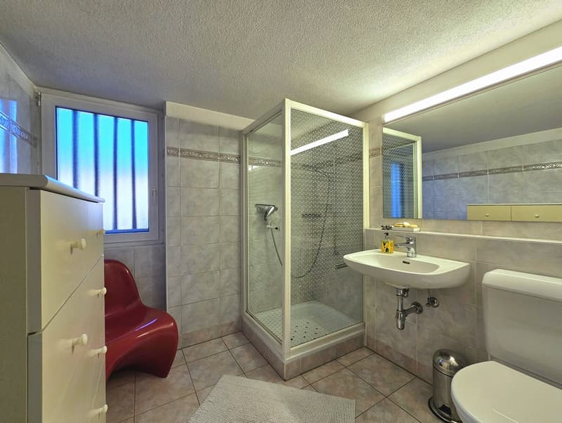 Bathroom with shower enclosure, sink, toilet, mirror, cabinet, radiator, rug, chair, and window