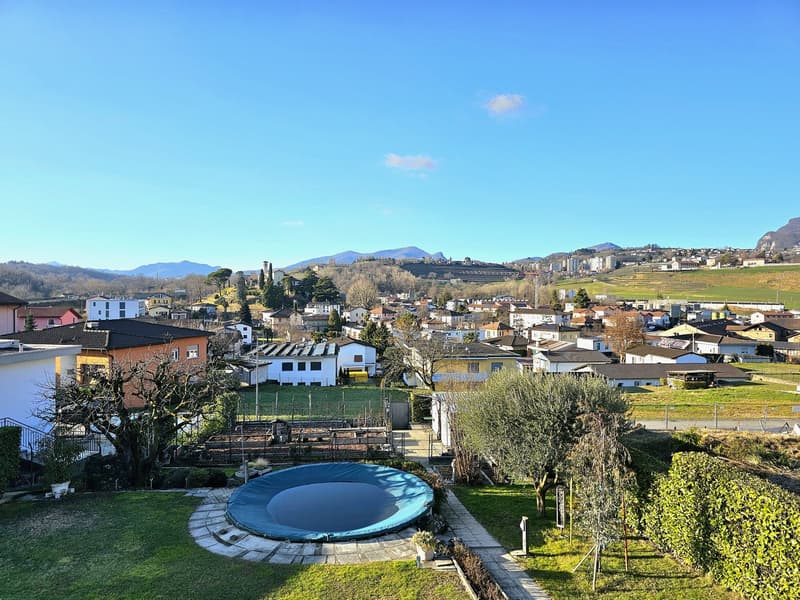 Boulevard with multiple houses, lush greenery, small garden with trampoline, mountain range in the background