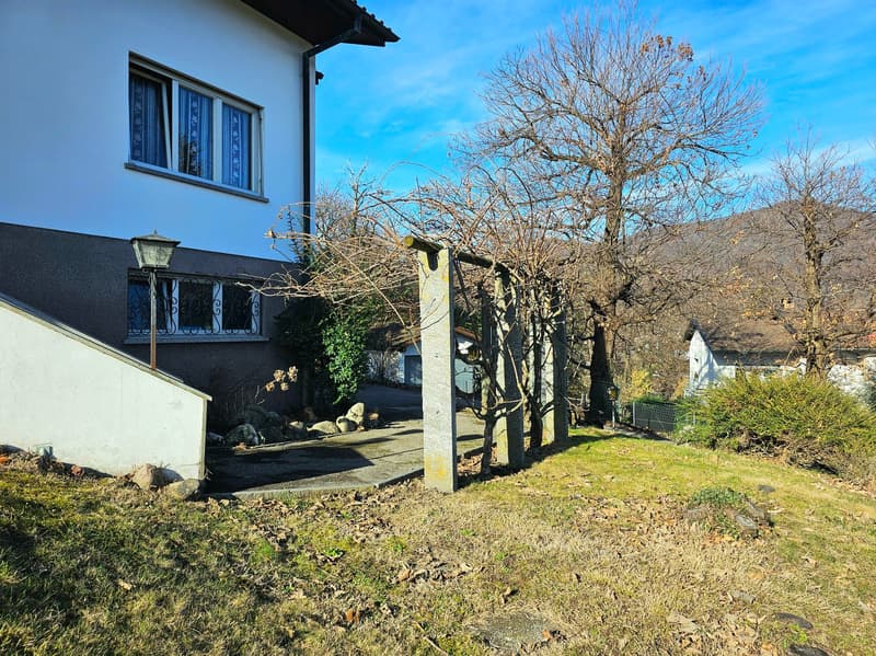 garden with a gate, lamp post, grassy area, leaf litter, trees, shrubs, mountains in the background
