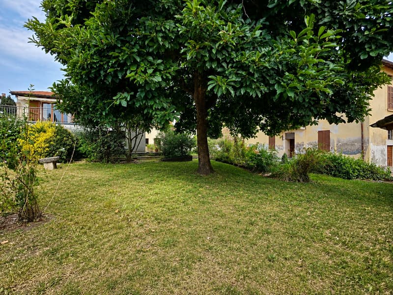 Stabio San Pietro: Affascinante casa unifamiliare 3.5 locali con giardino privato e vista aperta (2)