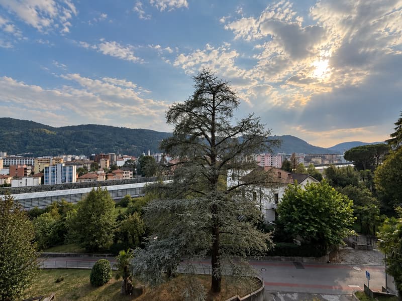 Vacallo: Affittasi luminoso ed ampio monolocale con vista dominante (8)