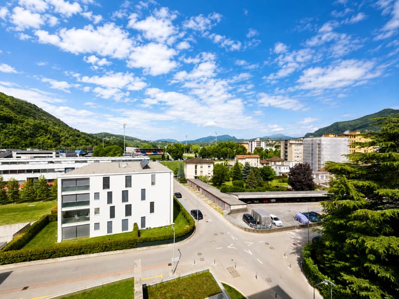 Chiasso: Affittasi rinnovato appartamento 2.5 locali con vista aperta (9)