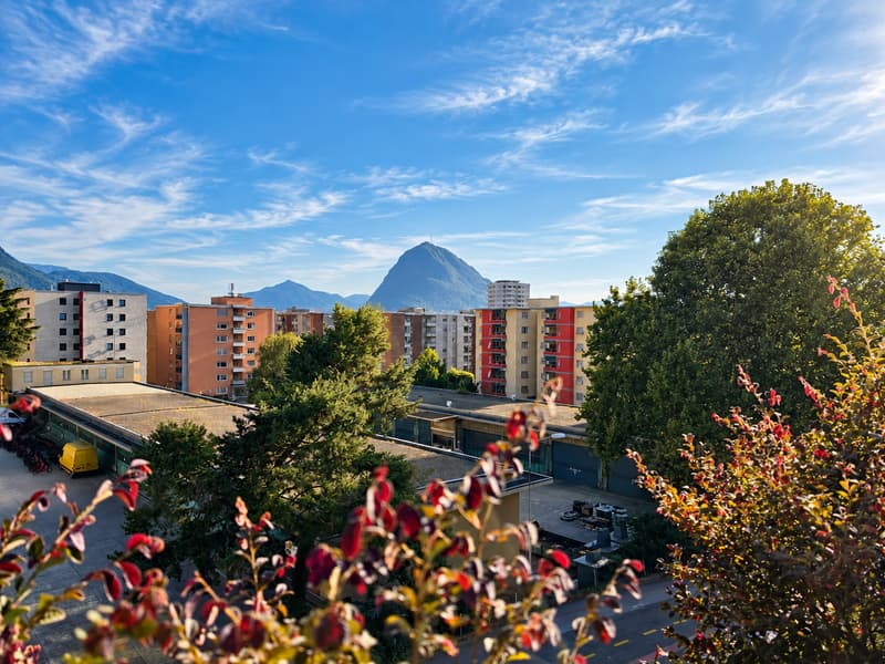 Lugano Viganello: Elegante attico 4.5 locali con spettacolare terrazza panoramica (1)