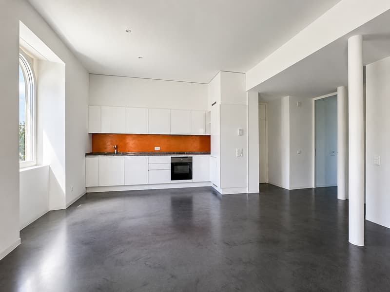 Chiasso: Affittasi moderno appartamento 4.5 locali in villa storica rinnovata (2)