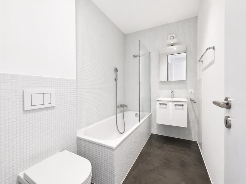 Chiasso: Affittasi moderno appartamento 4.5 locali in villa storica rinnovata (11)