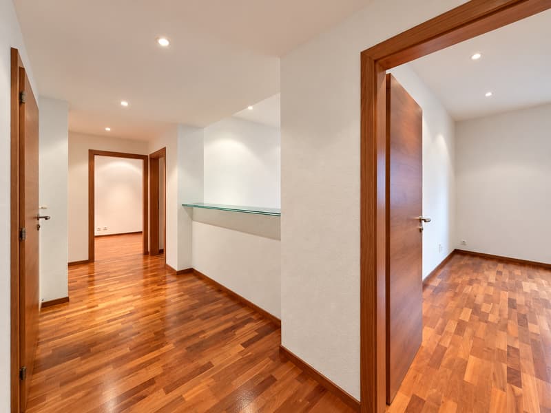 Chiasso: Elegante ufficio di rappresentanza 5 locali in zona centrale (1)