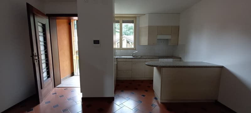 Spacious Duplex Apartment (2)