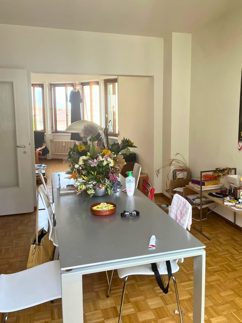 Geräumige Wohnung in der Universitätszone (5)
