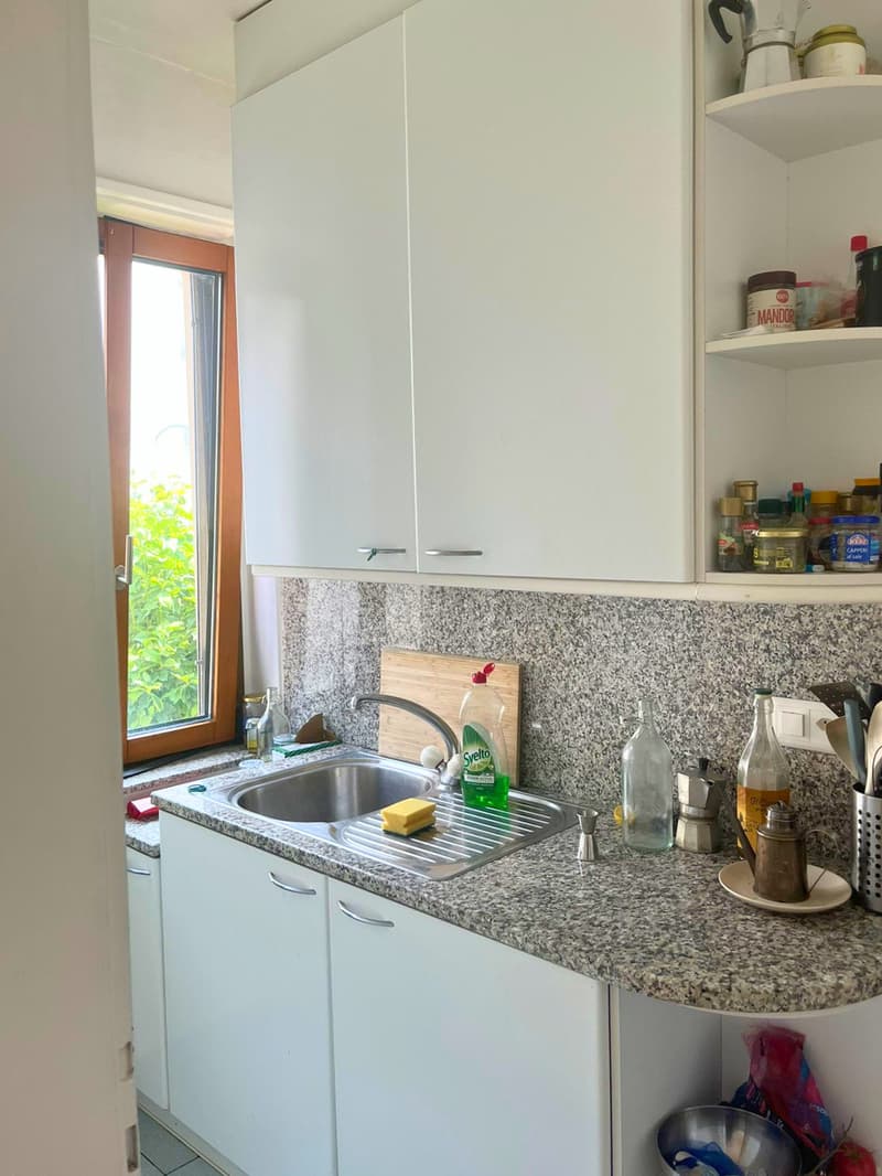 Geräumige Wohnung in der Universitätszone (6)