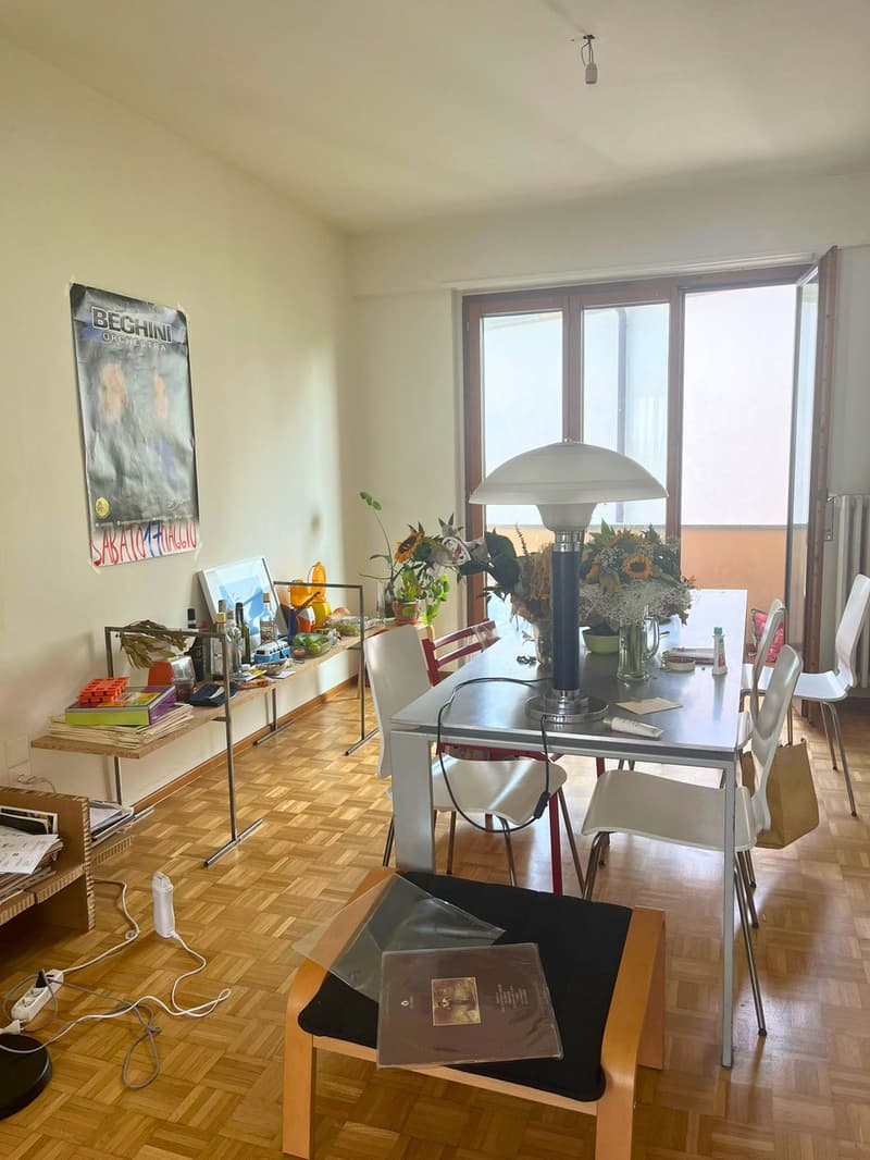 Geräumige Wohnung in der Universitätszone (4)