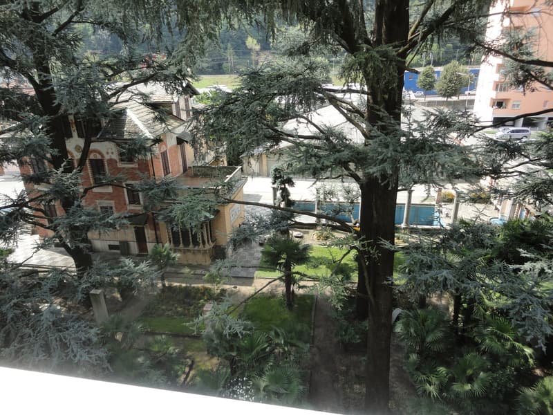 Appartamento 1.5 locali (10)