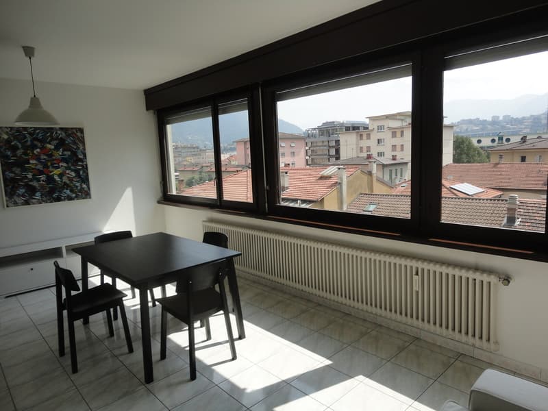 Appartamento 1.5 locali (4)