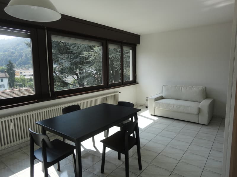 Appartamento 1.5 locali (3)