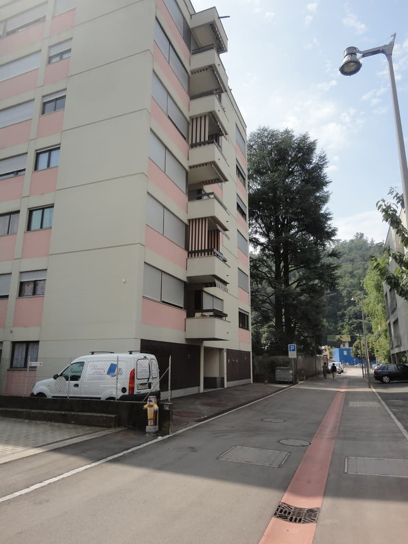 Appartamento 1.5 locali (11)