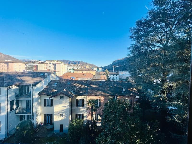 Appartamento 1.5 locali (12)