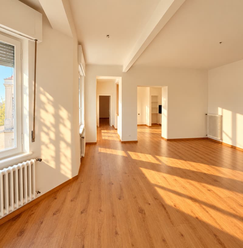 APPARTAMENTO 4.5 LOCALI RISTRUTTURATO (2)