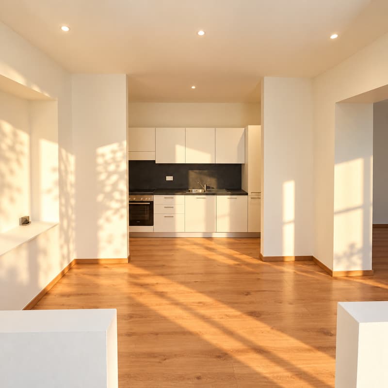 APPARTAMENTO 4.5 LOCALI RISTRUTTURATO (3)