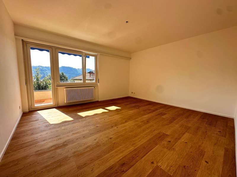 VACALLO - APPARTAMENTO 4.5 LOCALI (1)