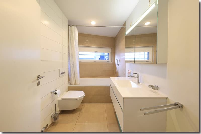 Modern bathroom with bathtub, shower, sink, mirror, and toilet