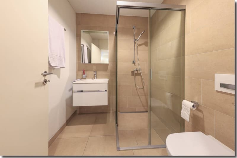 Shower stall, glass door, white vanity, mirror, towel rack, toilet, tiled walls