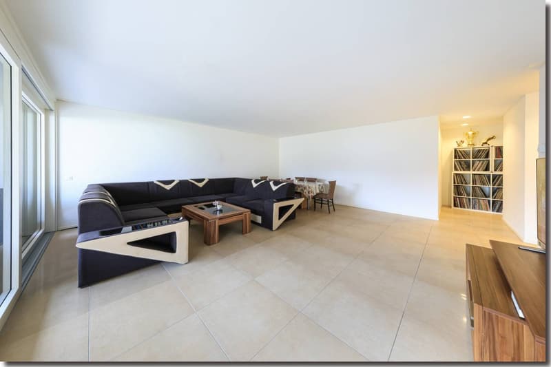 modern couch, coffee table, glass door, tiled floor, wooden shelves