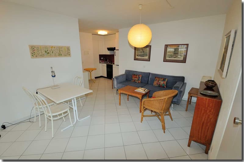 Charming house with a view of Ascona and Lake Maggiore (38)