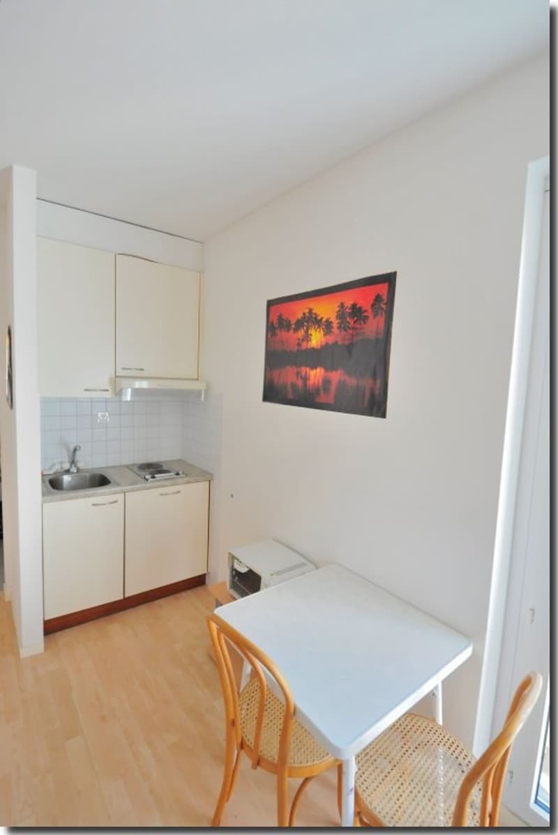Hübsche, unmöblierte 1-Zimmerwohnung, sehr hell und freundlich (5)