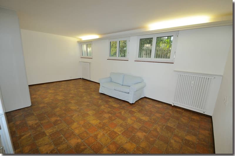 Möblierte 1-Zimmerwohnung nähe Terreni alla Maggia (3)