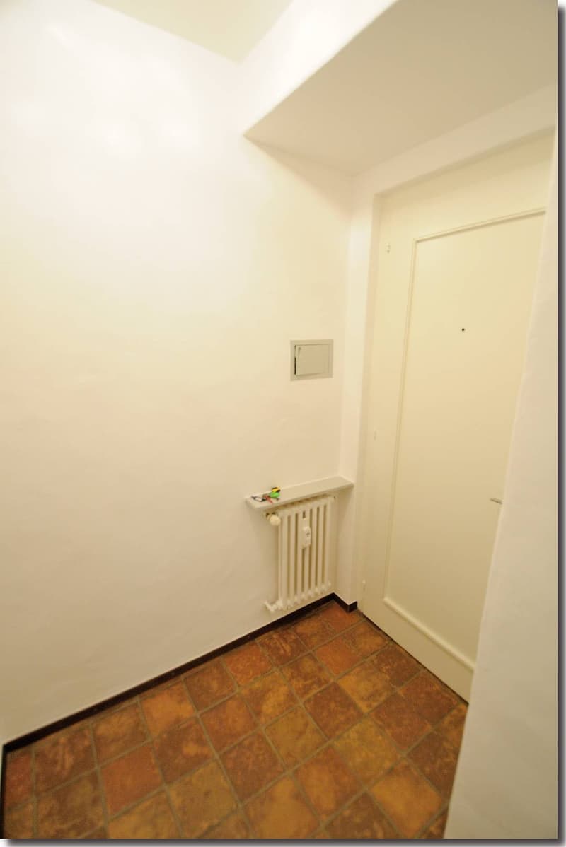Möblierte 1-Zimmerwohnung nähe Terreni alla Maggia (9)