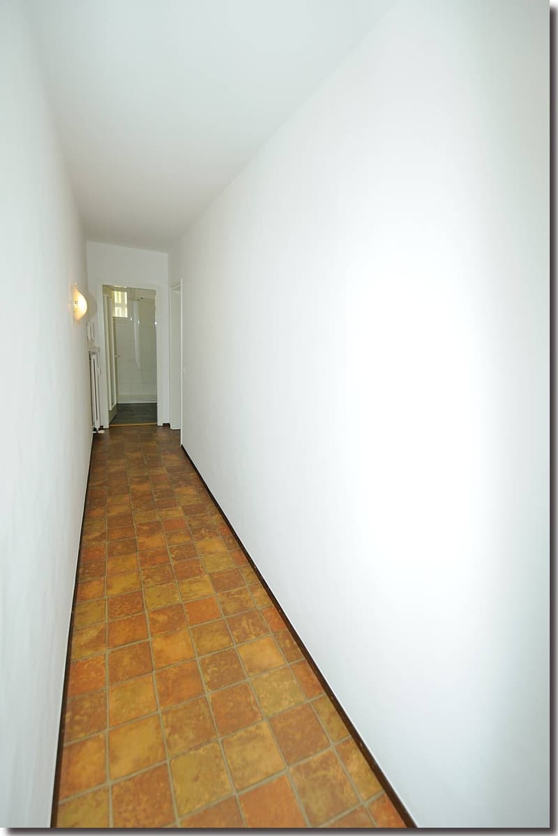 Möblierte 1-Zimmerwohnung nähe Terreni alla Maggia (8)