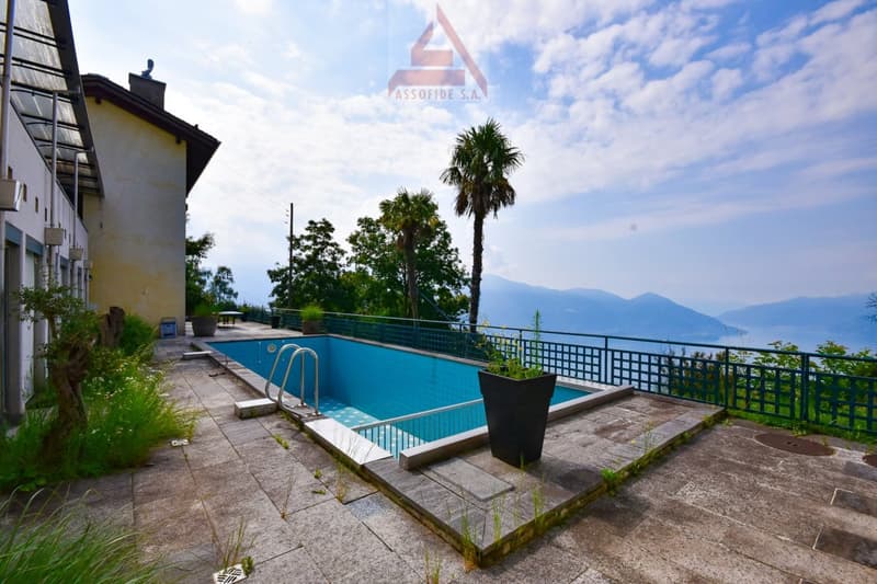 Outdoor swimming pool with mountain and lake view, surrounded by palm trees and greenery. The building in the background has the Assofide S.A. logo visible.