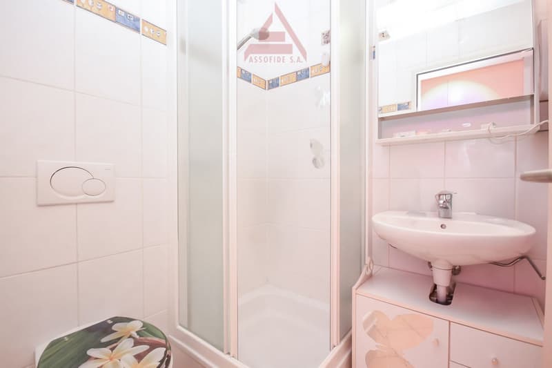Bathroom with shower, sink, mirror, and decorative floral toilet seat cover