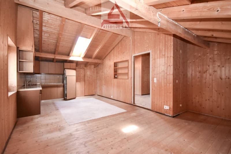 wooden floor, wooden wall, open kitchen, carpet, ceiling, skylight