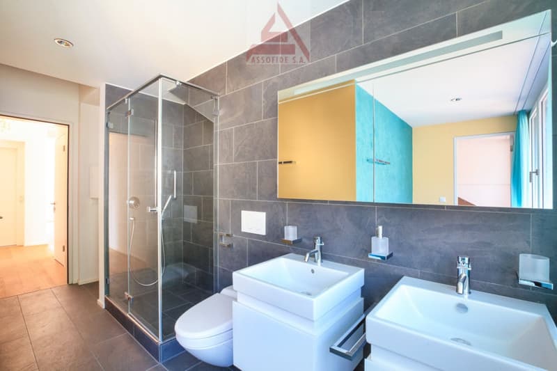 modern bathroom with shower, two sinks, toilet, mirror, tiled floor, wooden floor