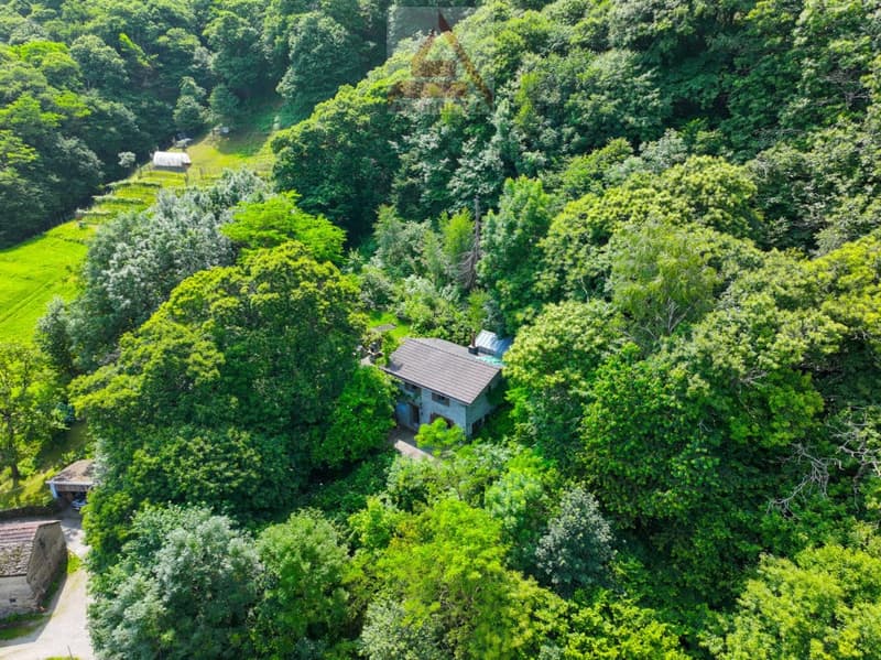 Casa immersa nel verde / Haus mitten im Grünen (6)