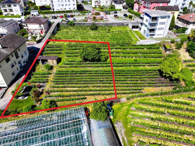 Terreno edificabile / Baugrundstück (2)