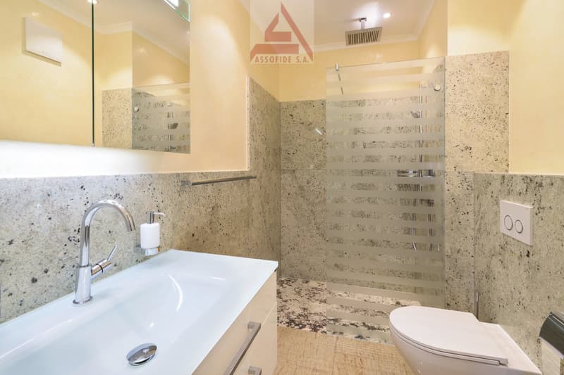Elegante appartamento di 4.5 locali / Elegante 4.5-Zimmerwohnung (10)