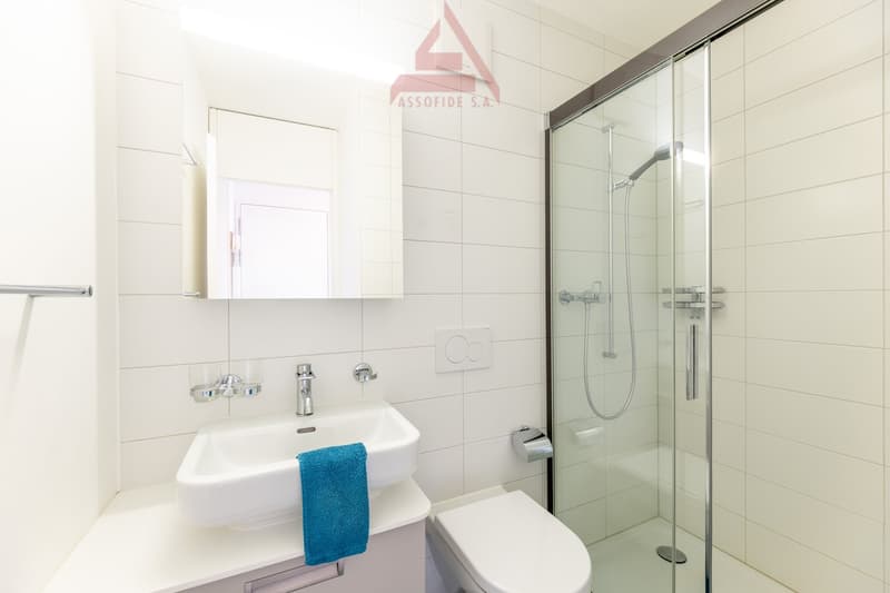 3.5 locali moderno e luminoso / 3.5-Zimmer-Wohnung, modern und sonnig (8)