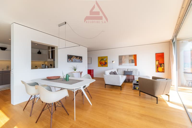 Appartamento moderno e luminoso a Muralto / Moderne und helle Wohnung in Muralto (3)