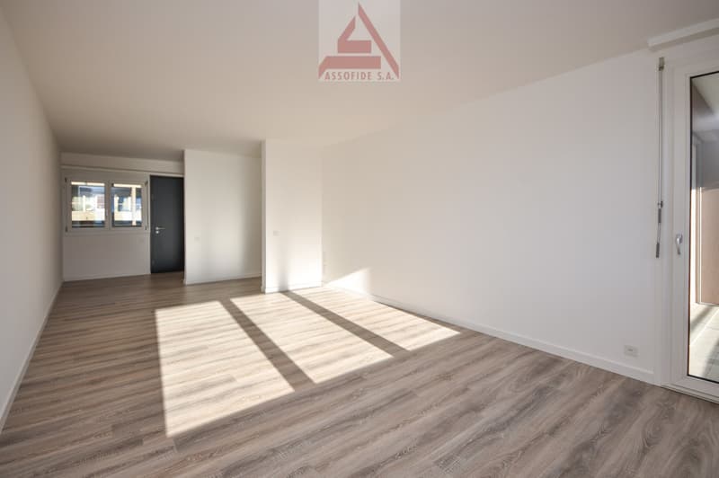 Luminoso 2.5 locali / Helle 2.5 - Zimmerwohnung (2)