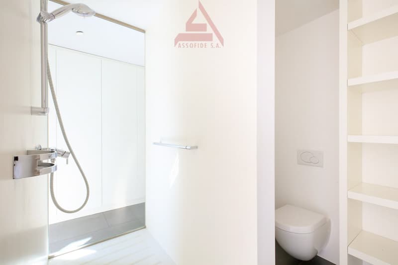 App. con stupenda vista lago / Wohnung mit traumhafter Seesicht (8)